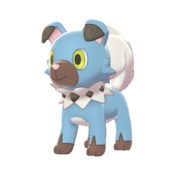 #744 Rockruff